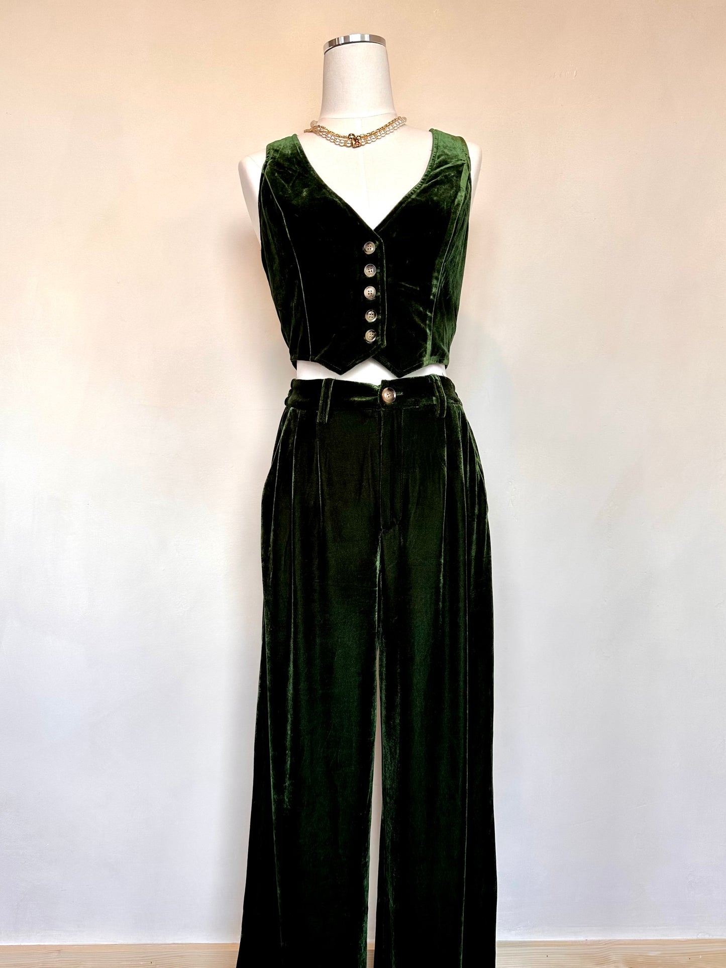 Business Fern 2-Piece Velvet & Pant Set