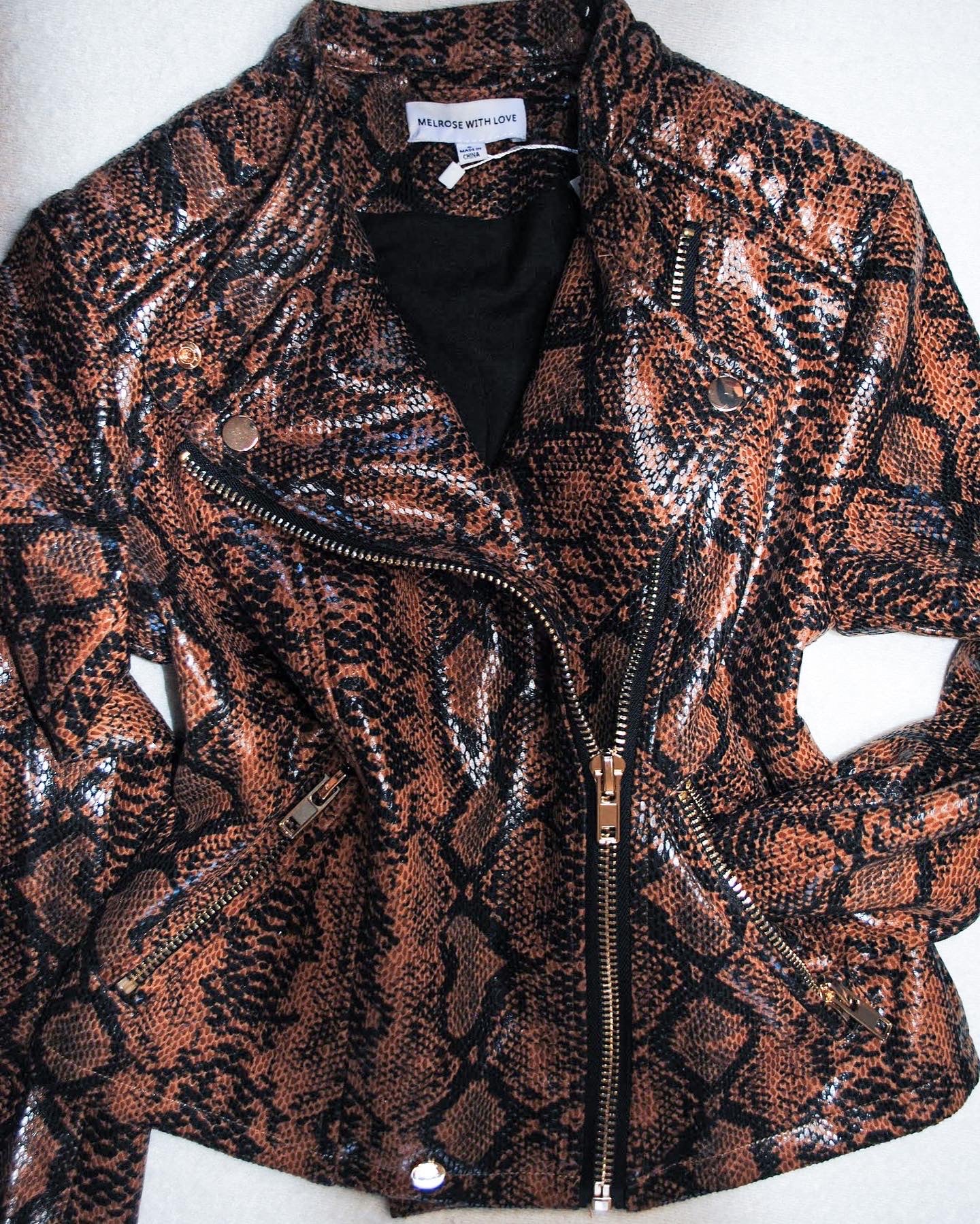 Ebony & Spice Faux Snakeskin Moto Jacket