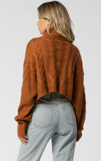 PUMPKIN PATCHIN' TURTLENECK