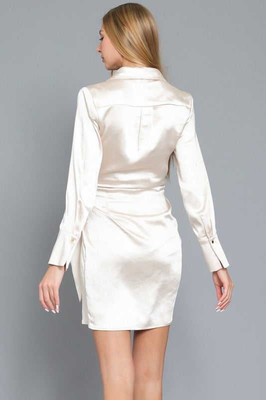 Bubbles on Ice Mini Dress