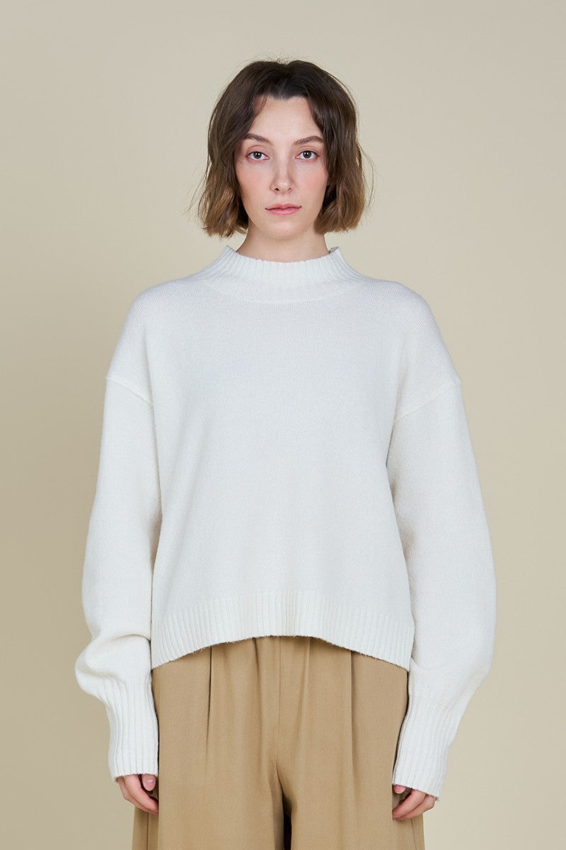 Frosted Turtleneck Sweater