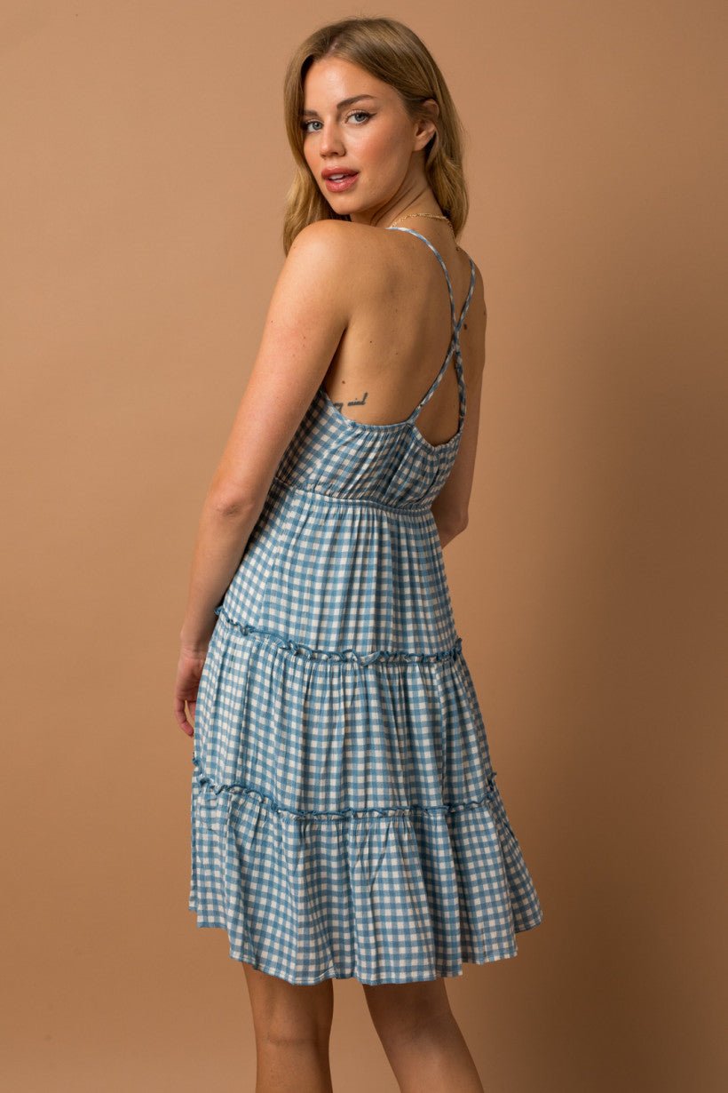 Blue gingham dress plus on sale size